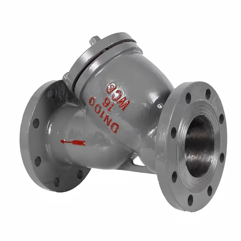 Carbon Ferro Flanged Y genus Filter