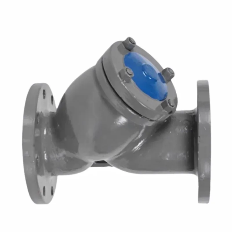 Carbon Ferro Flanged Y genus Filter