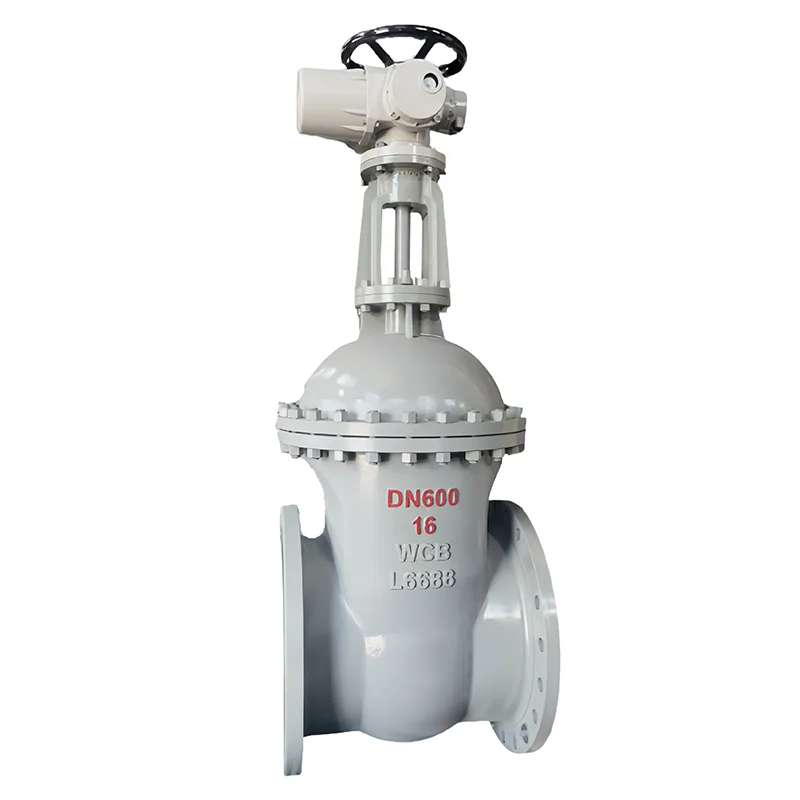 Carbon Steel National Standard Porta Valve