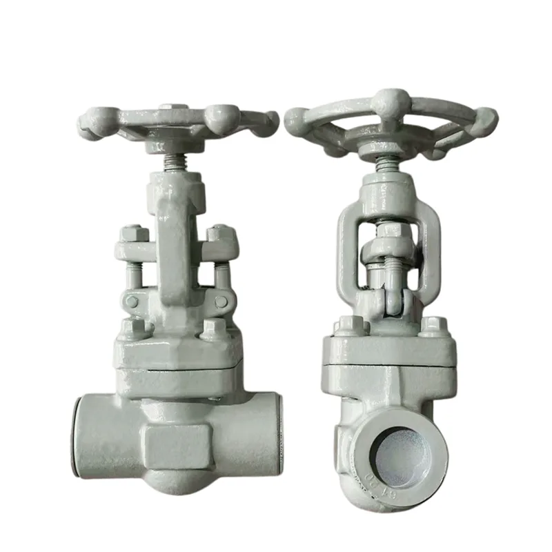 Taberna iuncta Forged Gate Valve