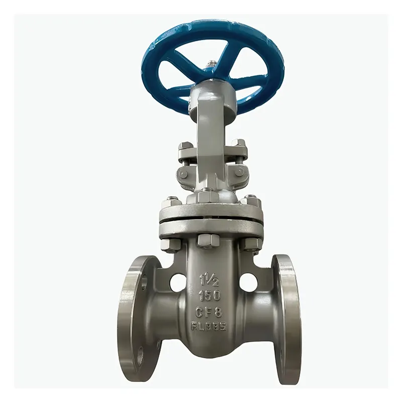 Steel 304 Flanged Gate Valve