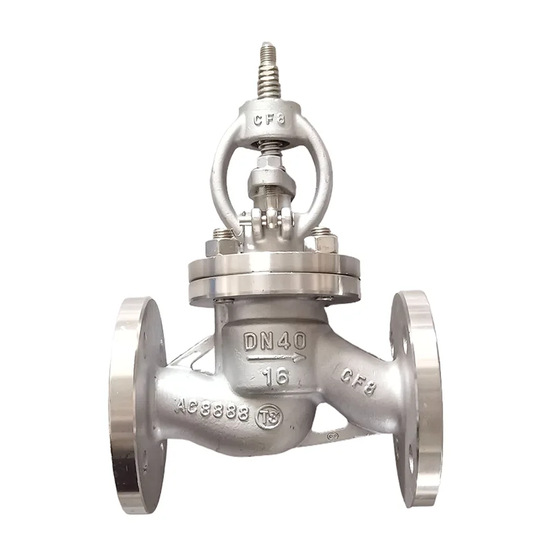Stainless Steel 304 Globe Valve