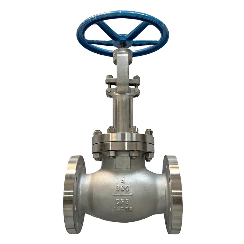 Globe Valve